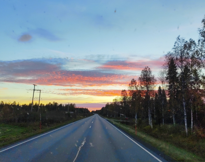 Discover Our Story - Lapland Fox Tours